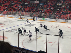 Mastering Hockey Strategy Offensive and Defensive Plays