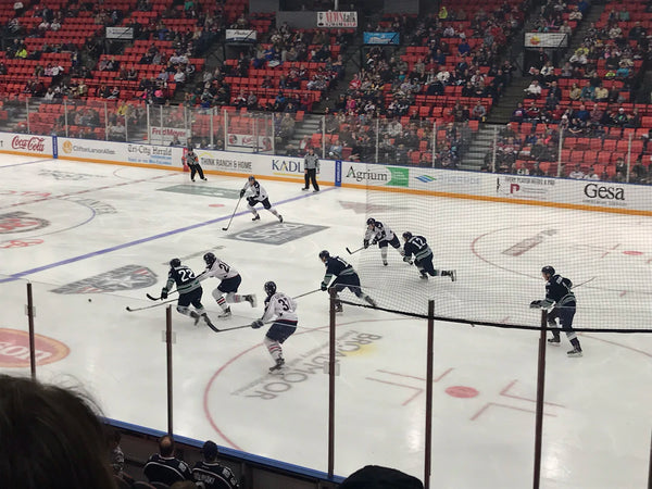 Mastering Hockey Strategy Offensive and Defensive Plays